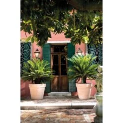 Deroma Pflanztopf Magno Ø 60 Cm White -Gartenwelt Verkauf 726232524137 3832 4