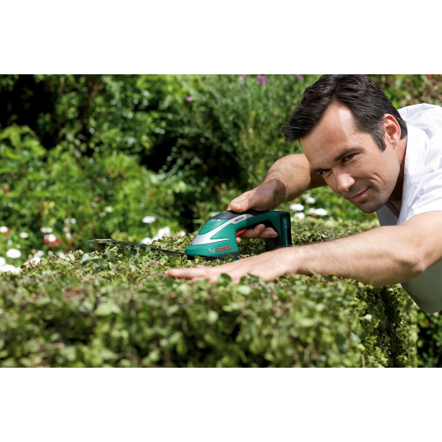 Gartenwelt Verkauf -Gartenwelt Verkauf 278490 3